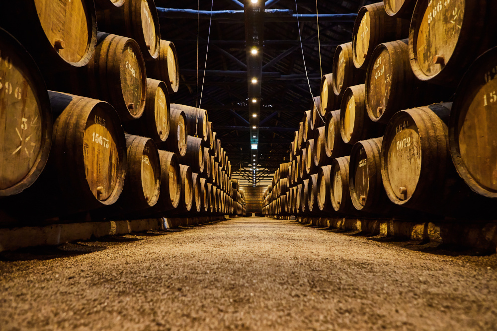 Old aged traditional wooden barrels with wine in a vault lined up in cool and dark cellar
